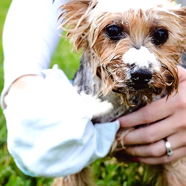 Scrubby Instant Bath